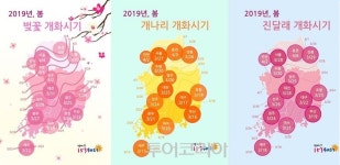 꽃놀이 가려면 개화시기 체크하세요!