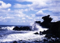 제주 시내권 알짜 여행, 제주시티투어 버스로~