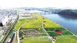 창녕 노란 유채꽃 물결, 푸른 낙동강과 만나니 한 폭의 수채화!