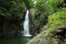 천상의 화원 '영주 소백산'...꽃놀이 즐기기 좋은 소백산 탐방 코스 3곳