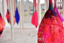 영월 술샘박물관, 영월 Y파크로 재탄생!