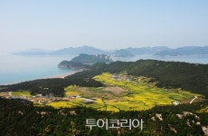 해수욕과 삼림욕을 동시에! '진도 관매도 해수욕장'