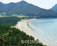 해수욕과 삼림욕을 동시에! 진도 관매도 해수욕장