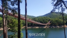 마장호수 출렁다리 건너며 더위 날려볼까?
