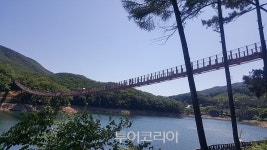 마장호수 출렁다리 건너며 더위 날려볼까?