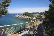 동해 바다 위를 두발로! 추암촛대바위 해상 출렁다리 개장