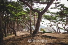 인천으로 떠나는 섬캉스①...주섬주섬 음악회로 해변낭만 즐기는 덕적도