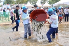합천 바캉스축제! HOT한 더위 날리는 COOL한 축제!