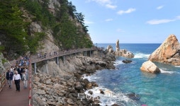 삼척시 해안 생태탐방로 초곡용굴촛대바위길 개장