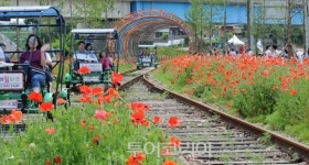 넘쳐나는 즐거움! 활력이 샘솟는 짜릿한 하동