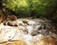 홍천 숲 속 계곡에서 시원한 여름나기!