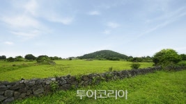 낭만의 섬 제주 최고의 피서는?