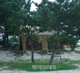 미등록 야영장 320개 불법영업 정황 확인..9월 말까지 집중단속