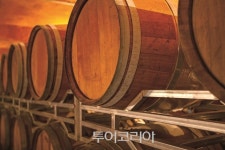 영동 와이너리 투어