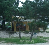 핑클처럼 캠핑여행 떠날까! '캠핑클럽'인기에 카라반 이용문의 쇄도
