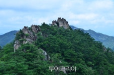 가을엔 곡성 동악산 숲길 걸으며 자연을 누려볼까나!