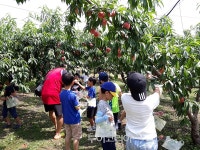 추석 가족 나들이, 즐거움 가득한 이천에서 추억 만들어요!