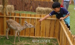 무주반딧불축제,반디의 꿈 생태 도시 무주 이야기 드디어 시작