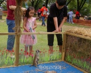 무주반딧불축제,반디의 꿈 생태 도시 무주 이야기 드디어 시작