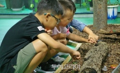 무주반딧불축제,반디의 꿈 생태 도시 무주 이야기 드디어 시작
