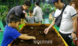 무주반딧불축제,반디의 꿈 생태 도시 무주 이야기 드디어 시작