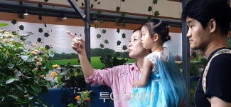 무주반딧불축제,'반디의 꿈 생태 도시 무주 이야기' 드디어 시작