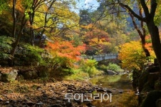 추석연휴기간 강천산군립공원 무료 입장, 단월야행도 펼쳐져