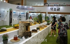 약초인농특산물 | 내 몸에 보약이 되는 산청한방약초축제 개막