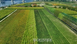 [공주 백제문화제] 1500년 전 해상강국 백제 깨어나다!