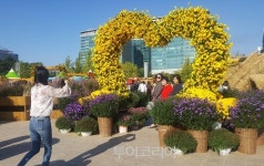 고양가을꽃축제에서 아름다운 추억 만드는 관람객들