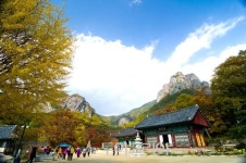 청송군, 주왕산 특별 교통대책 시행 12일부터 11월 17일까지