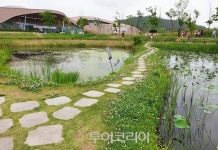 깊어가는 가을, 은빛 억새 따라 가을정취 만끽..국립생태원 산들바람길 조성