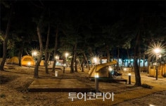 삼척 맹방 비치 캠핑장에서 힐링하세요!