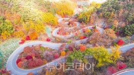 굽이굽이 아름다움 머금은 보발재