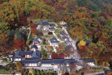 [팔색조 매력,중부내륙여행]영주-올 가을엔 내가 영화 속 주인공!!