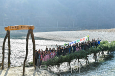 정선 가수리 가탄마을 동강 전통 섶다리 한 폭의 동양화!