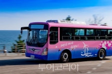 영덕 블루시티 버스 12월 본격 운행..기차·버스타고 영덕여행!
