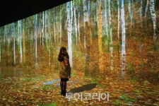 올 한해를 밝힌 한국관광의 별은? 엑소, 어서와~한국은 처음이지? 등 선정