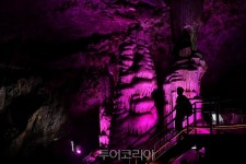 신비의 정선 화암동굴로 시간여행떠나볼까!