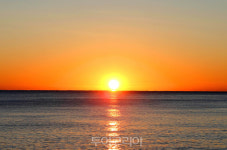 신년 일출여행! 힘들게 NO, 호텔에서 여유롭고 색다르게 해캉스