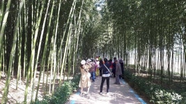 지리산둘레길 등 구례 길 100km 걷고 완주 인증 받아볼까!