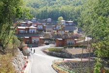 고로쇠 수액로 봄기운 충전하러 보성 제암산자연휴양림으로!