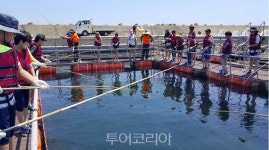 경북 어촌체험휴양마을에서 코로나블루 날려요!..숙박료 최대 58% 할인