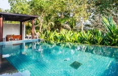 외따로 떨어진 섬에서 언택트 힐링!