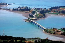 착한 여행 드라이브스루! 숲길, 해변 길 조용히 달리며 봄 정취 만끽  