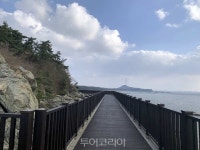 서천 장항 해찬솔길 걸으며 꽃·소나무·억새·갯벌 보며 休