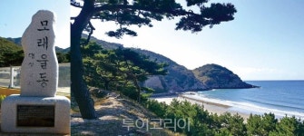  섬 이름이 독특해 끌리네! ①인천ㆍ완도 