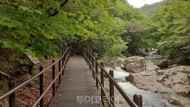 [무주 구천동 어사길] 코로나 스트레스 날리는 건강 코스 길