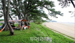 전북 8개 해수욕장 7월 4일부터 순차 개장