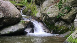 산따라 계곡따라 인제 미산 개인약수 트레킹